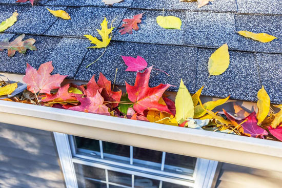 Roof Maintenance