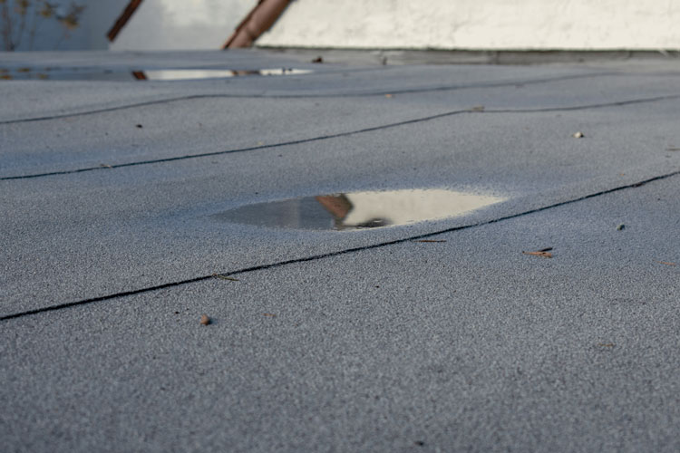 Water Pooling On Flat Roof
