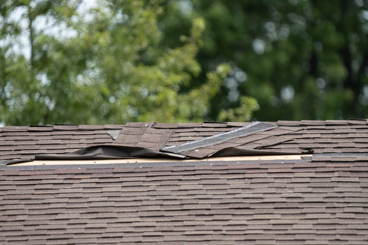 Roofers To Avoid Working With