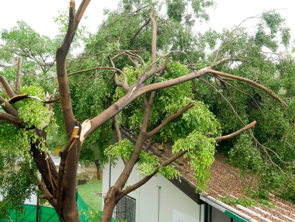 roof damage