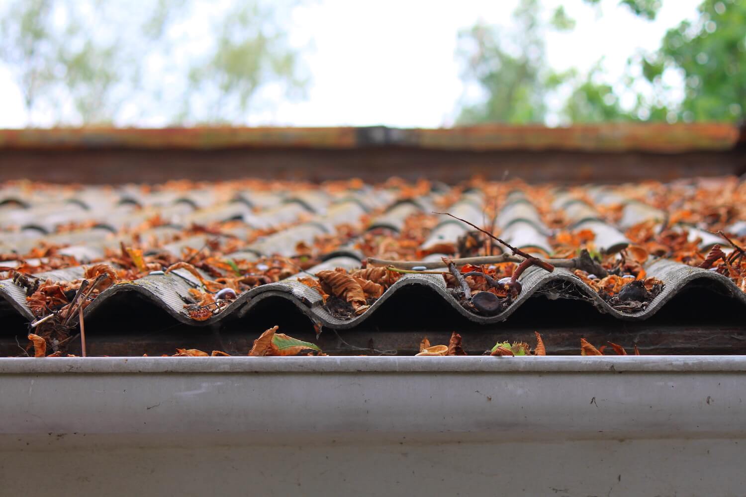 Getting Your Eugene Roof Ready For The Fall