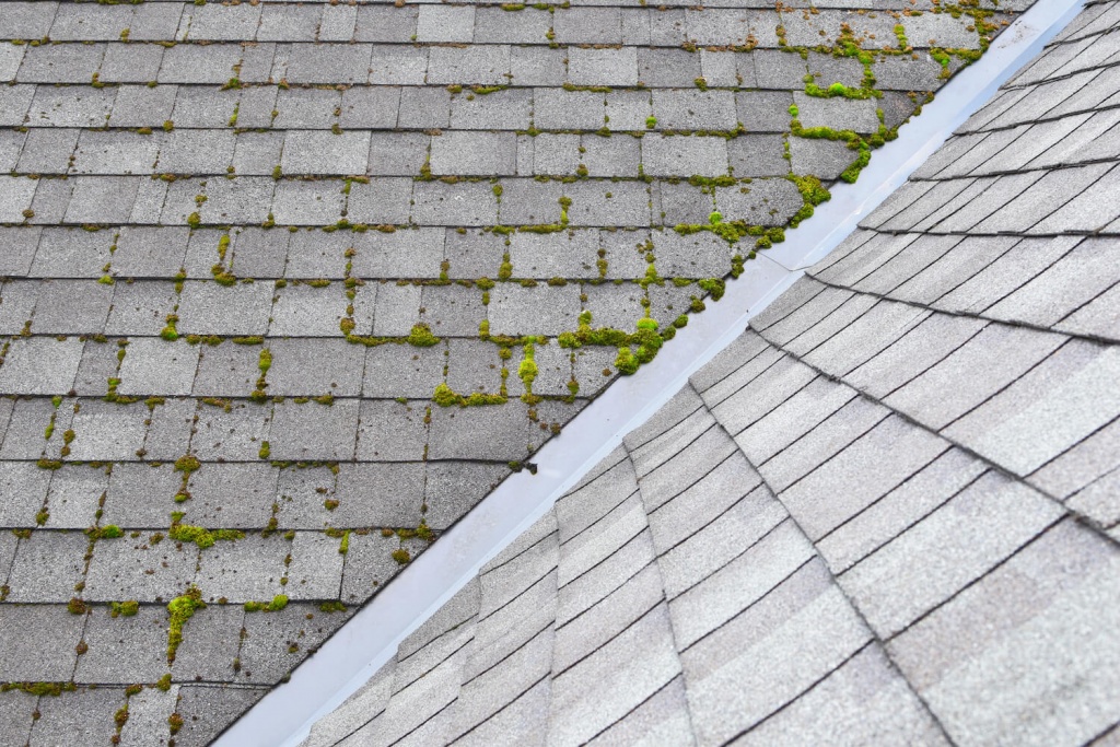how to stop moss growing on roof
