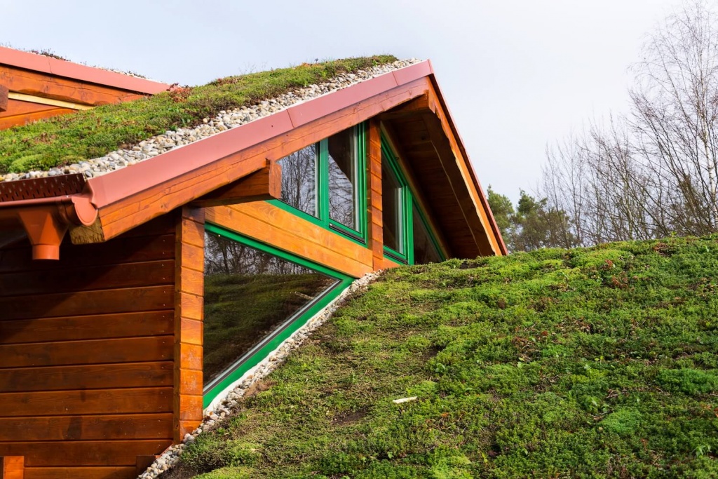what do green roofs do