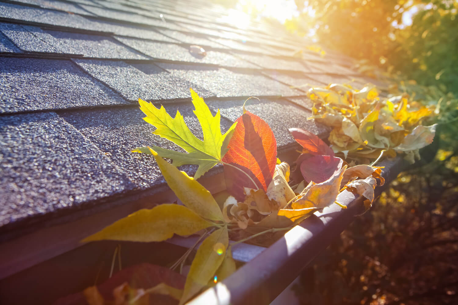 Roofing Maintenance Tips For Eugene Homeowners